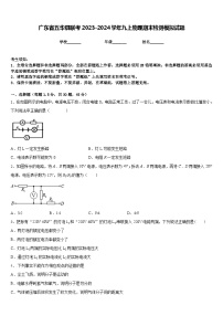 广东省五华县联考2023-2024学年九上物理期末检测模拟试题含答案