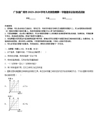 广东省广州市2023-2024学年九年级物理第一学期期末达标测试试题含答案