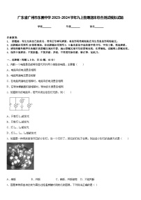 广东省广州市东圃中学2023-2024学年九上物理期末综合测试模拟试题含答案