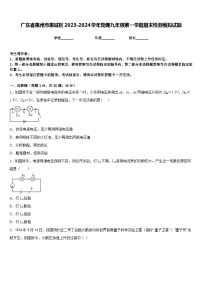 广东省惠州市惠城区2023-2024学年物理九年级第一学期期末检测模拟试题含答案