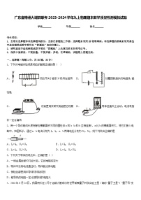 广东省梅州大埔县联考2023-2024学年九上物理期末教学质量检测模拟试题含答案