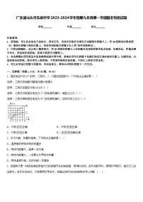 广东省汕头市东厦中学2023-2024学年物理九年级第一学期期末检测试题含答案