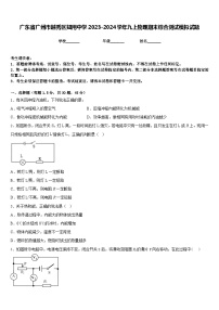 广东省广州市越秀区知用中学2023-2024学年九上物理期末综合测试模拟试题含答案