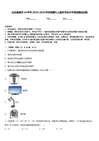 山东威海市14中学2023-2024学年物理九上期末学业水平测试模拟试题含答案