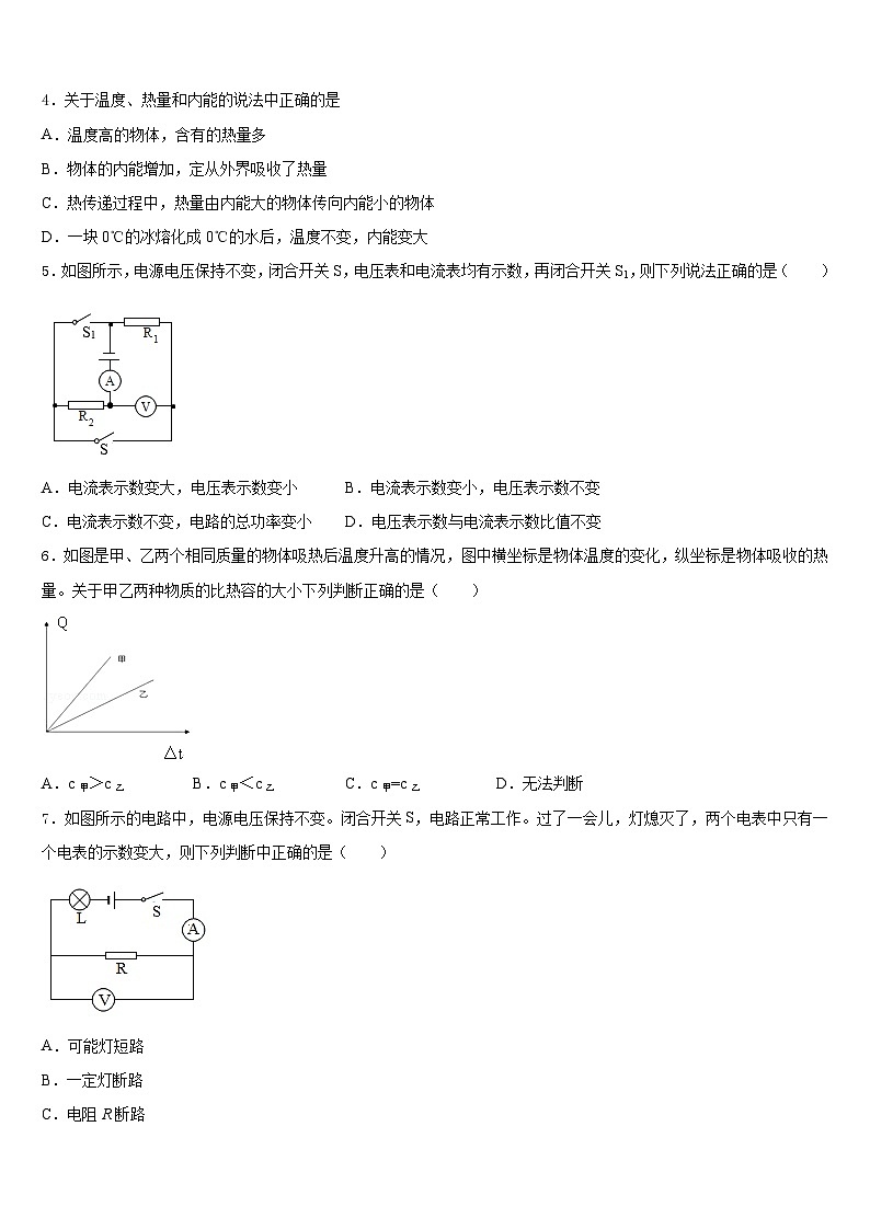 安徽省芜湖市名校2023-2024学年九上物理期末学业水平测试试题含答案02