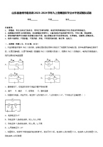 山东省德州市临邑县2023-2024学年九上物理期末学业水平测试模拟试题含答案