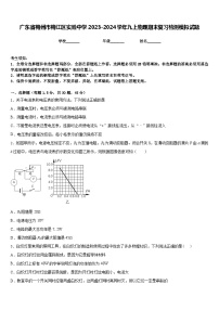 广东省梅州市梅江区实验中学2023-2024学年九上物理期末复习检测模拟试题含答案