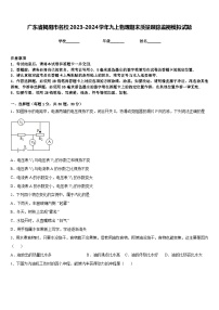 广东省揭阳市名校2023-2024学年九上物理期末质量跟踪监视模拟试题含答案