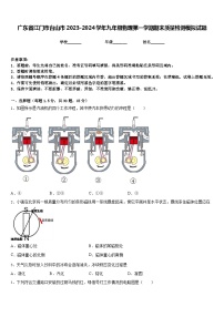 广东省江门市台山市2023-2024学年九年级物理第一学期期末质量检测模拟试题含答案