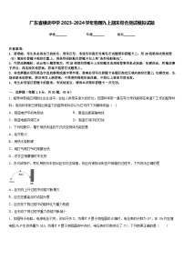 广东省横沥中学2023-2024学年物理九上期末综合测试模拟试题含答案