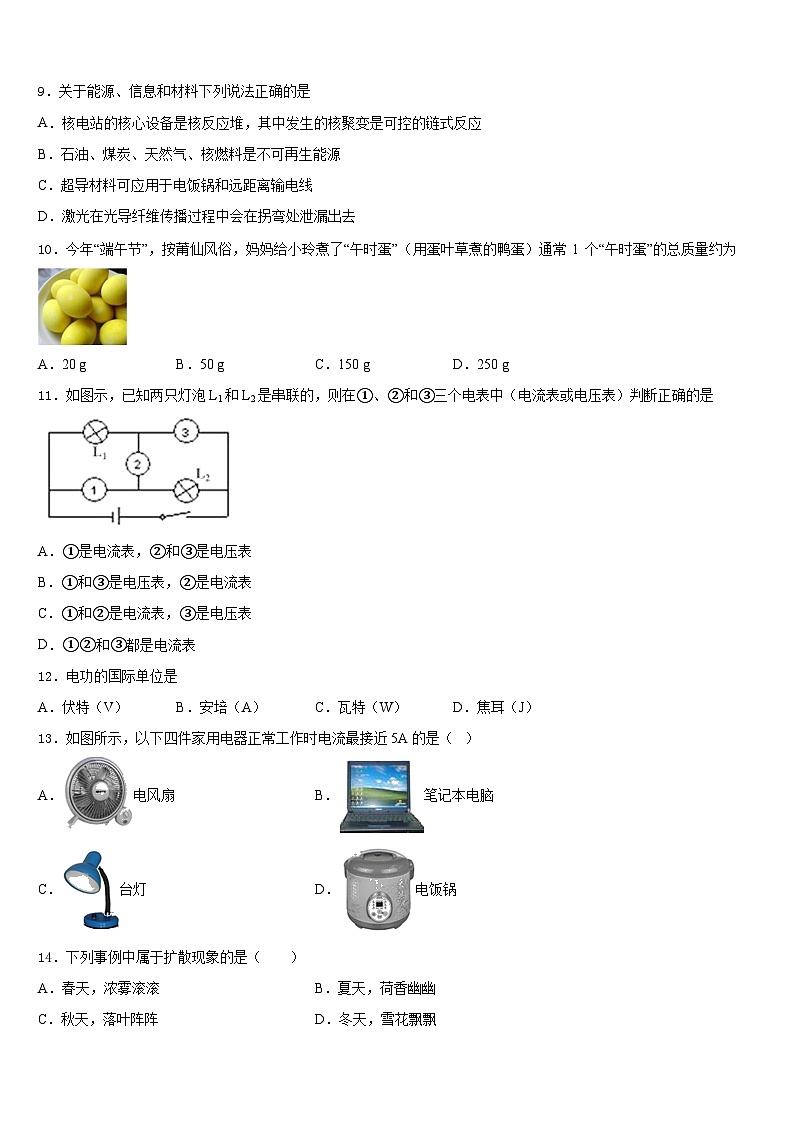 广东省惠阳市马安中学2023-2024学年物理九年级第一学期期末学业质量监测试题含答案第3页