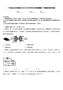 广东省汕头市澄海区2023-2024学年九年级物理第一学期期末联考试题含答案