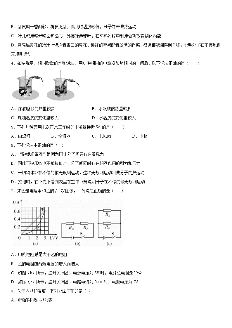 广东省河口中学2023-2024学年物理九上期末质量检测模拟试题含答案02