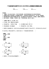 广东省河源市正德中学2023-2024学年九上物理期末经典模拟试题含答案