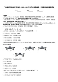 广东省深圳龙岗区六校联考2023-2024学年九年级物理第一学期期末调研模拟试题含答案