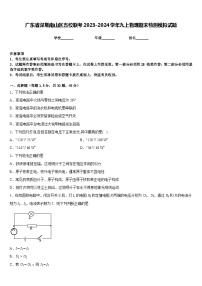 广东省深圳南山区五校联考2023-2024学年九上物理期末检测模拟试题含答案