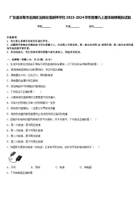 广东省深圳市龙岗区龙岗街道新梓学校2023-2024学年物理九上期末调研模拟试题含答案