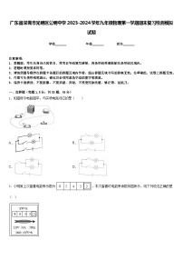 广东省深圳市光明区公明中学2023-2024学年九年级物理第一学期期末复习检测模拟试题含答案