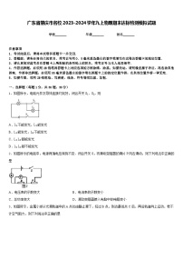 广东省肇庆市名校2023-2024学年九上物理期末达标检测模拟试题含答案