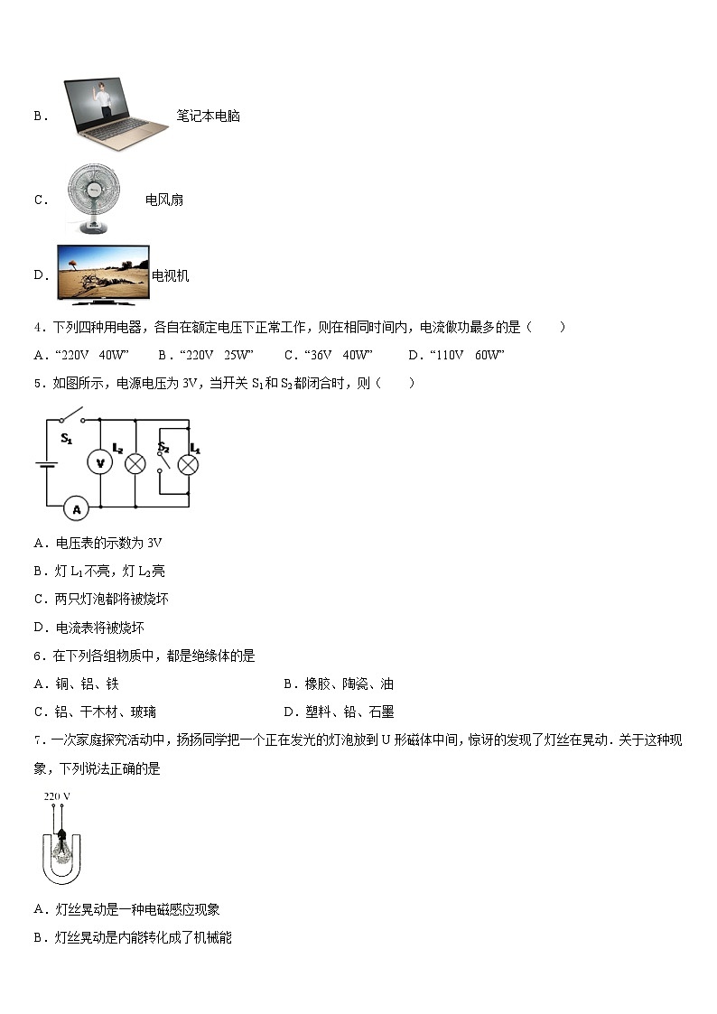 广东省深圳市大鹏新区2023-2024学年九年级物理第一学期期末经典模拟试题含答案02