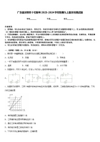 广东省深圳市十校联考2023-2024学年物理九上期末经典试题含答案