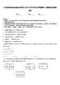 广东省深圳市南山区南山实验学校2023-2024学年九年级物理第一学期期末统考模拟试题含答案