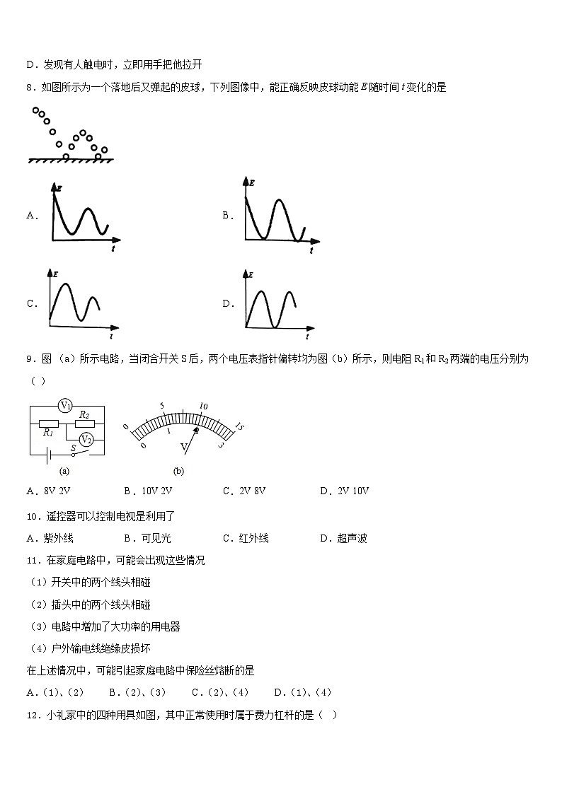 广东省深圳市龙岗区六约学校2023-2024学年物理九年级第一学期期末综合测试试题含答案第3页