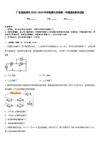 广东省高州市2023-2024学年物理九年级第一学期期末联考试题含答案