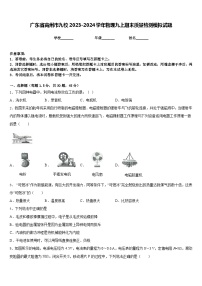 广东省高州市九校2023-2024学年物理九上期末质量检测模拟试题含答案