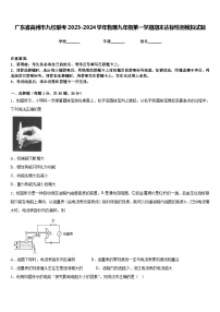 广东省高州市九校联考2023-2024学年物理九年级第一学期期末达标检测模拟试题含答案