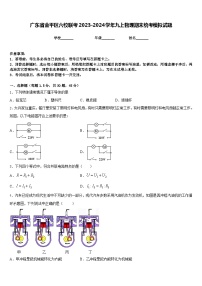 广东省金平区六校联考2023-2024学年九上物理期末统考模拟试题含答案