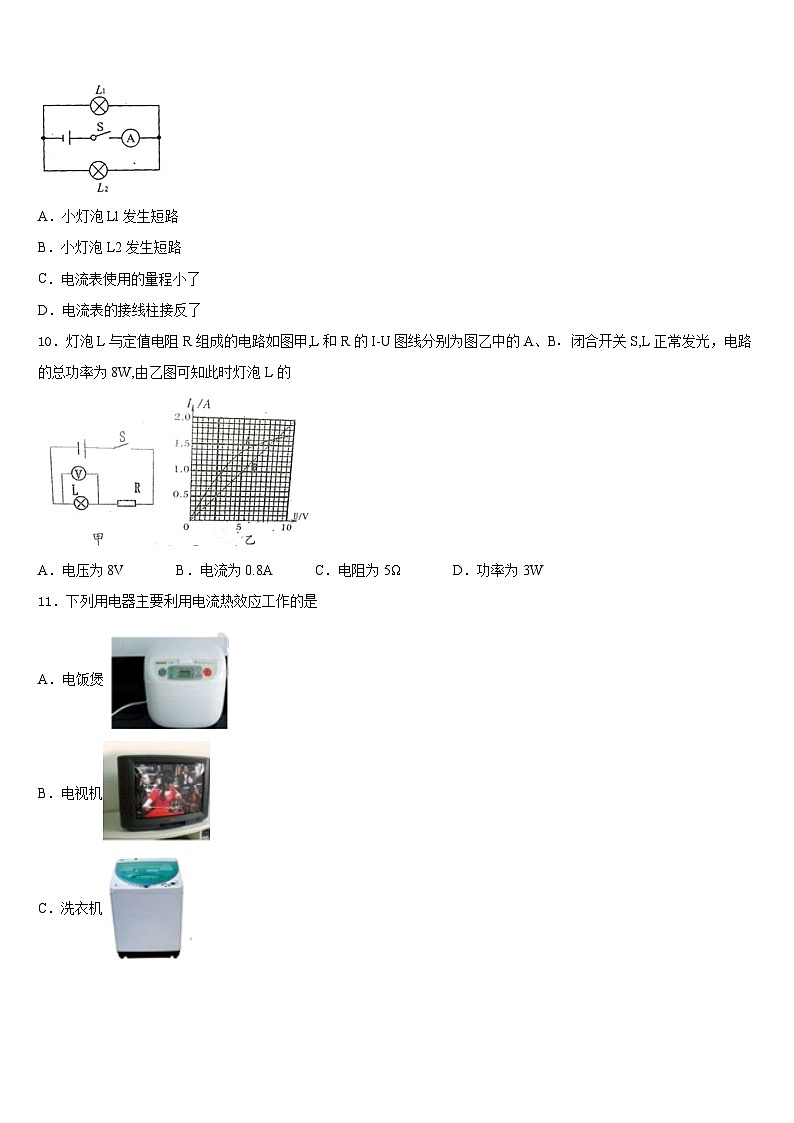 广东省阳江市阳春八甲中学2023-2024学年物理九上期末监测模拟试题含答案第3页
