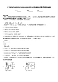 广西壮族自治区河池市2023-2024学年九上物理期末达标检测模拟试题含答案