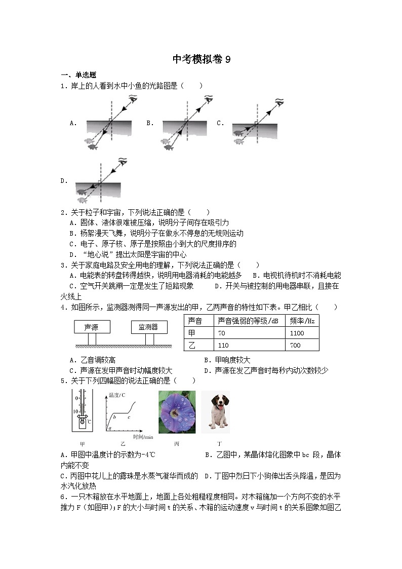 2023年江苏省泰州市中考物理模拟训练卷9（解析版）01
