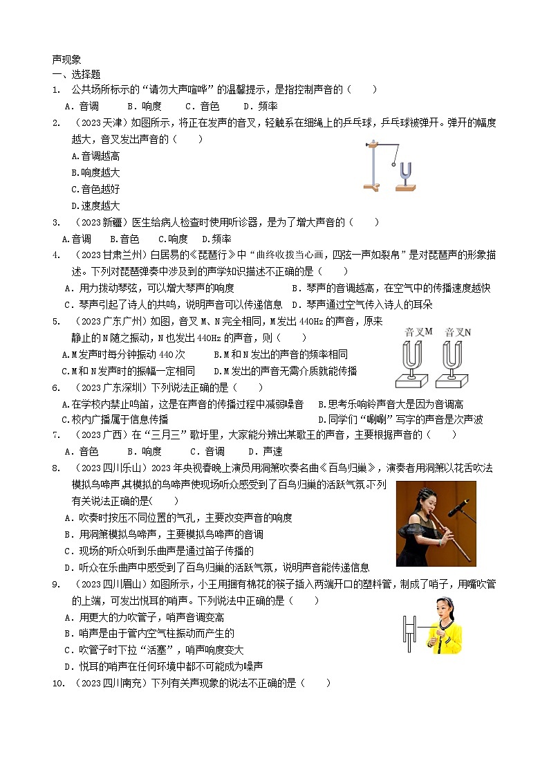 2024年物理中考专题复习2——声现象01