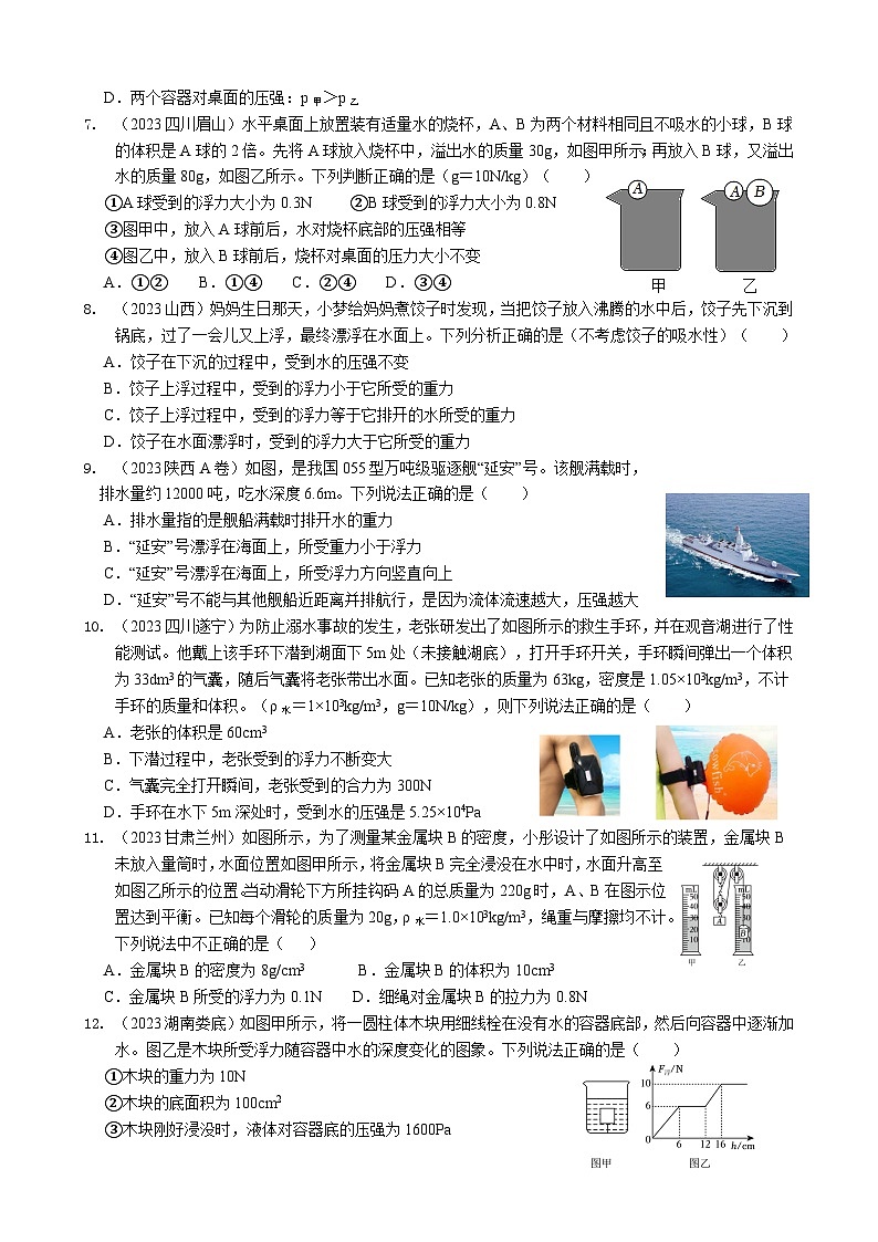 2024年物理中考专题复习10——浮力02