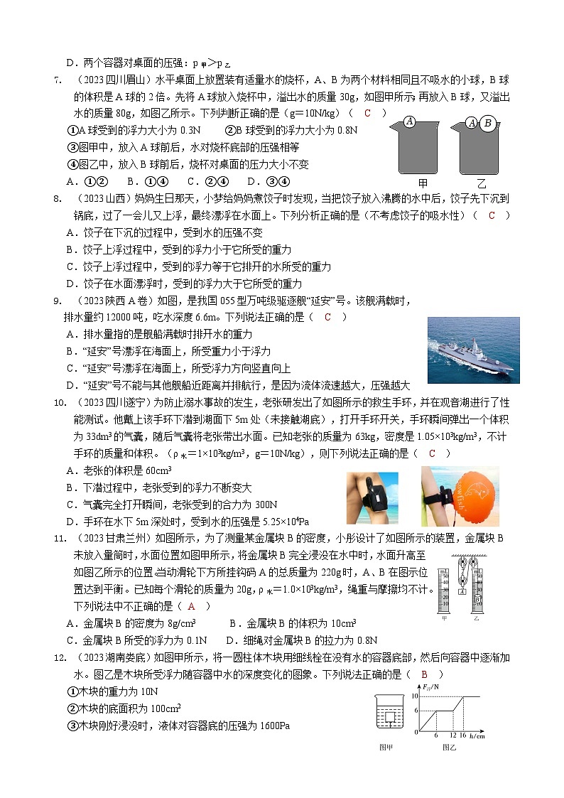 2024年物理中考专题复习10——浮力02