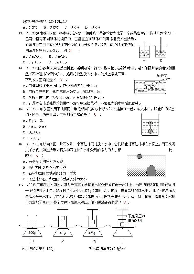 2024年物理中考专题复习10——浮力03