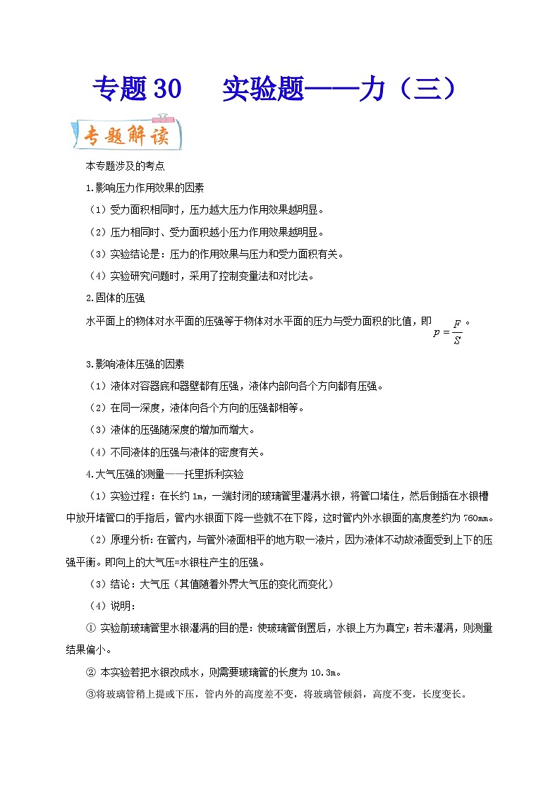 专题30   实验题——力（三）  备战中考物理重难点题型专题突破01