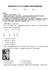 杭州市建兰中学2023-2024学年物理九上期末质量检测模拟试题含答案