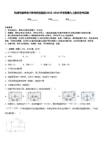 杭州市锦绣育才教育科技集团2023-2024学年物理九上期末统考试题含答案