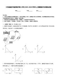 江苏省南京市南师附中树人学校2023-2024学年九上物理期末考试模拟试题含答案