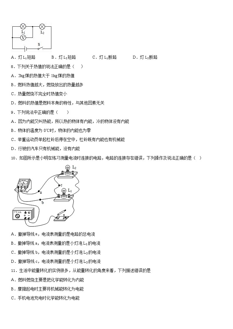 江苏泰州周庄初级中学2023-2024学年物理九上期末联考模拟试题含答案03