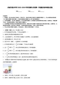 武威市重点中学2023-2024学年物理九年级第一学期期末联考模拟试题含答案