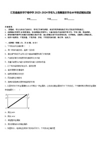 江苏省南京市宁海中学2023-2024学年九上物理期末学业水平测试模拟试题含答案