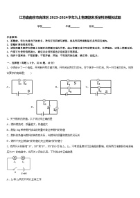 江苏省南京市高淳区2023-2024学年九上物理期末质量检测模拟试题含答案