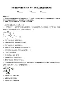 江苏省南京市溧水县2023-2024学年九上物理期末经典试题含答案