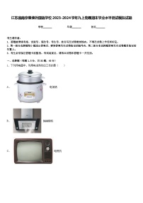 江苏省南京秦淮外国语学校2023-2024学年九上物理期末学业水平测试模拟试题含答案