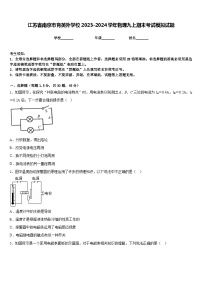 江苏省南京市育英外学校2023-2024学年物理九上期末考试模拟试题含答案