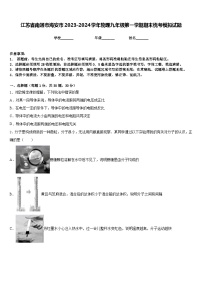 江苏省南通市海安市2023-2024学年物理九年级第一学期期末统考模拟试题含答案